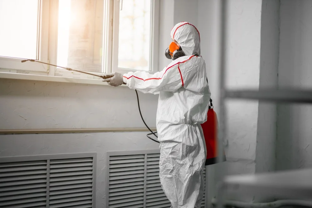Professional mold remediation services in Lucas, OH